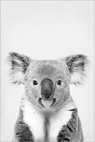 Plakat Venlig koala