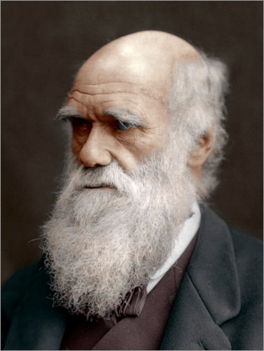 Plakat Charles Darwin