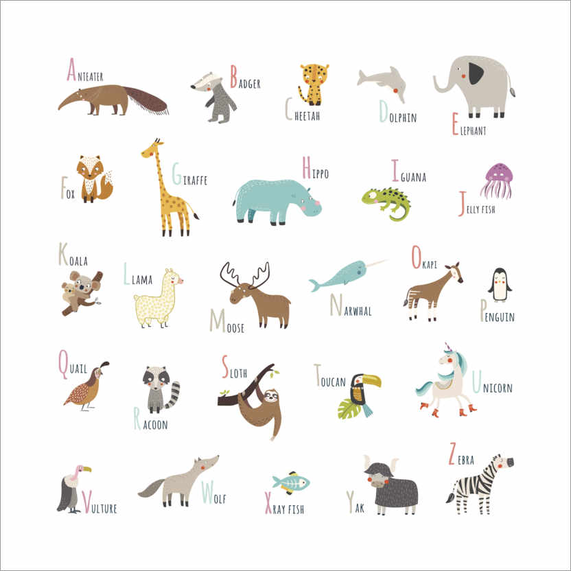 Plakat Square Animal Alphabet (english)