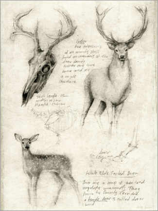 Lærredsbillede  Deer - Mike Koubou