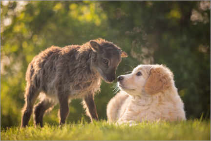 Plakat Animal friendship