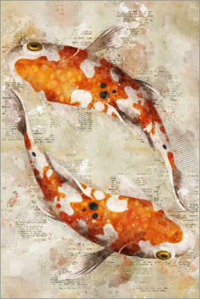 Print på skumplade  Koi Fishes - Durro Art