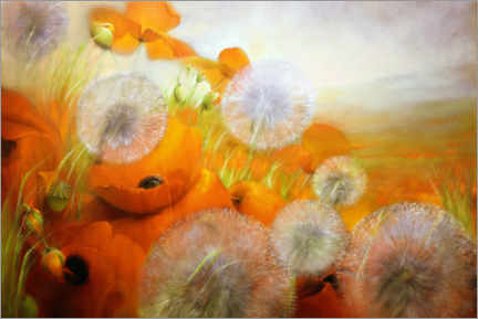 Plakat Poppy meadow with dandelions