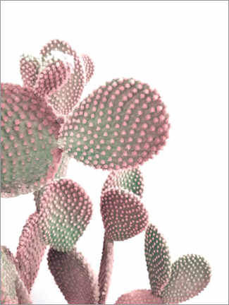 Plakat Pink Cactus on White