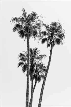 Plakat Palm idyll