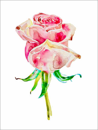 Plakat Summer rose I
