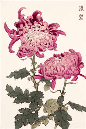 Plakat One hundred chrysanthemums