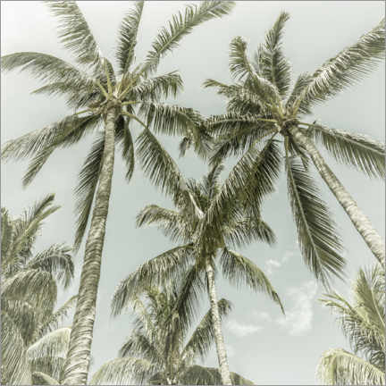 Print på træ  Palm sky - Melanie Viola