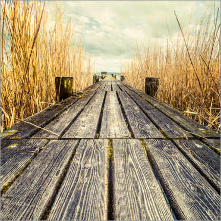 Lærredsbillede  Footbridge in the reeds - Denis Feiner