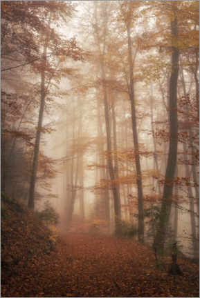 Plakat  Autumn forest - André Wandrei