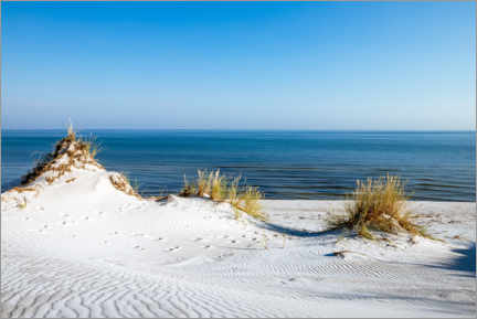 Plakat Dune landscape on the Baltic coast