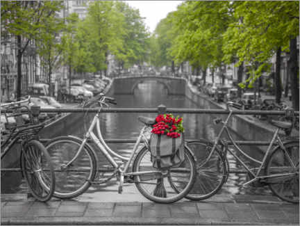 Akrylbillede  Amsterdam, bicycles on the bridge - Assaf Frank