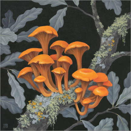 Plakat  Fungi - Vasilisa Romanenko
