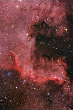 Lærredsbillede  Cygnus Wall - North American Nebula - Benjamin Butschell