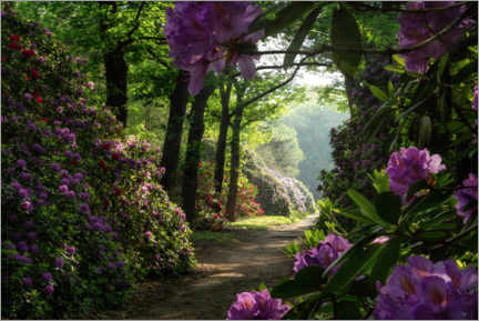 Lærredsbillede  Rhododendron path - Martin Podt