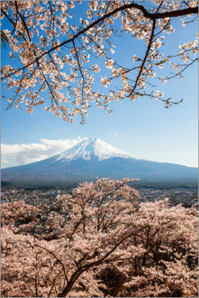 Plakat  Springtime at Mount Fuji, Japan - Matteo Colombo