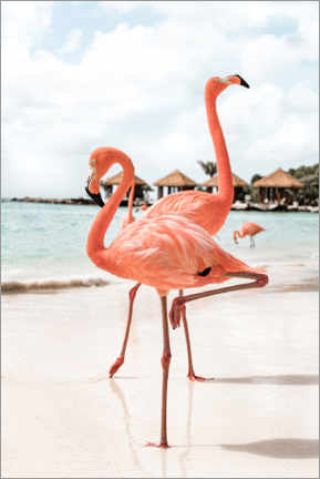 Lærredsbillede  Flamingo's On Aruba Island - Henrike Schenk