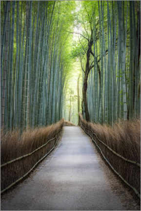 Plakat  Arashiyama Bambuswald, Kyoto, Japan - Jan Christopher Becke