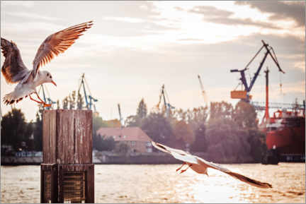 Lærredsbillede  Hamburg Landing Bridges - Alexander Voss