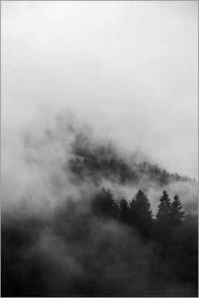 Selvklæbende plakat  Black forests in fog and clouds - Studio Nahili