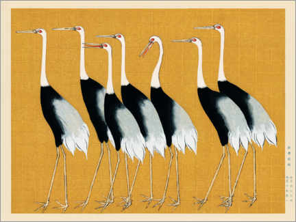 Print på træ  Flock of Japanese Red Crown Cranes - Ogata Korin