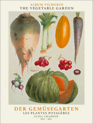Plakat  Album Vilmorin, The Vegetable Garden IV - Elisa Champin