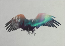 Galleritryk  Eagle In The Aurora Borealis - Andreas Lie