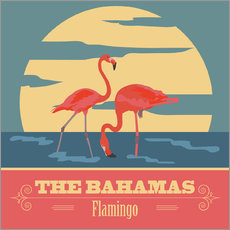 Selvklæbende plakat  The Bahamas - Flamingo