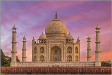 Selvklæbende plakat  Taj Mahal, India - Mike Clegg Photography