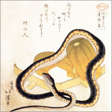 Selvklæbende plakat  Snake and Melons Surimono - Katsushika Hokusai