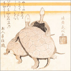 Galleritryk  Turtles - Katsushika Hokusai