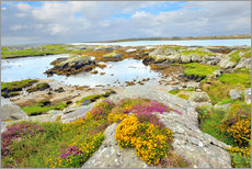Selvklæbende plakat  Ireland Landscape with wild flowers