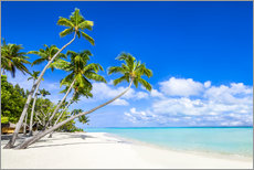 Selvklæbende plakat  Hvid strand og palmer i troperne - Jan Christopher Becke