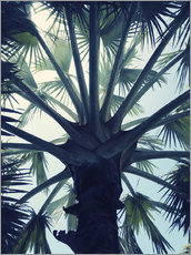 Selvklæbende plakat  Tropical Tranquillity - Angelo Cerantola