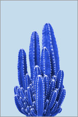 Plakat  Blue Cactus II