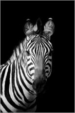 Selvklæbende plakat  Portrait of a zebra