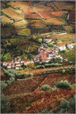 Plakat Grape vines in Douro valley, Portugal