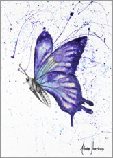 Plakat Lavender Butterfly