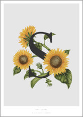 Lærredsbillede  S is for Sunflower - Charlotte Day