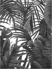 Plakat Tropical jungle in black and white