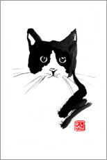 Plakat Cat black and white