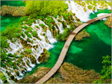 Print på skumplade  Plitvice Lakes in Croatia - Terry Eggers