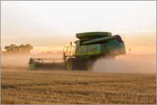Plakat  Combine harvesting wheat