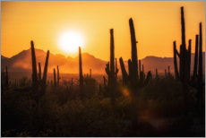 Plakat  Saguaro Sunset - Chiara Salvadori