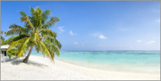 Lærredsbillede  Palm beach - Jan Christopher Becke