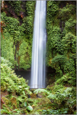 Plakat Waterfall in the rainforest, Bali