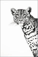 Lærredsbillede  Peeking Leopard - Rose Corcoran
