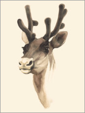 Plakat Reindeer study