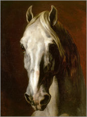 Selvklæbende plakat  Head of a white horse - Theodore Gericault
