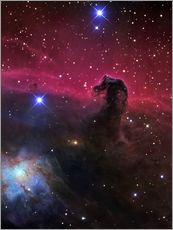 Selvklæbende plakat  The Horsehead Nebula II - R Jay GaBany